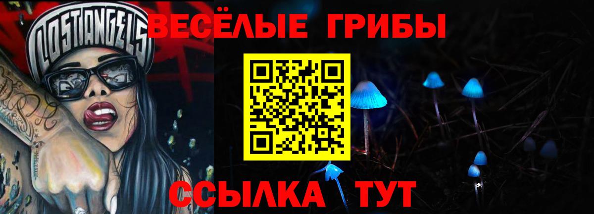 Псилоцибиновые грибы Psilocybe  Вход с VPN  Псилоцибиновые грибы прущие грибы  Тимашёвск 